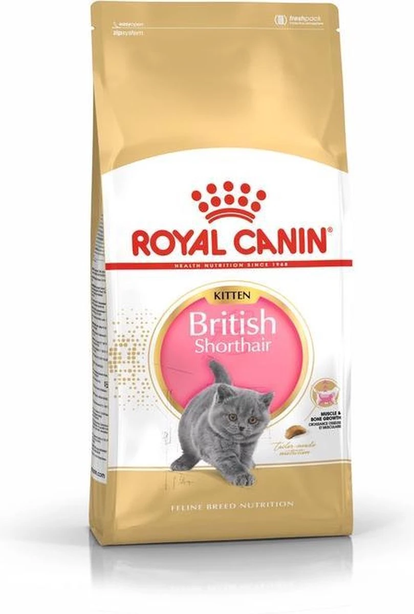 Royal Canin British Shorthair Kitten - 2 Kg 12 Royal Canin British Shorthair Kitten - 2 Kg - Image 12