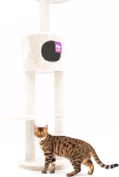 Petrebels Anna 240 Krabpaal - Creme - 240 Tot 265 Cm - Met Plafondspanner -Merkloos Verkoop 809x1200 8