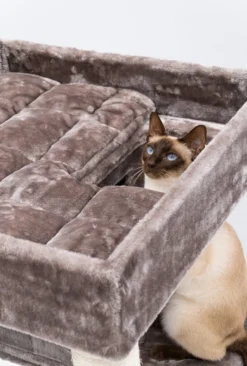 Petrebels Lodge 107 Krabpaal - Cappuccino - Design - Zeer Stabiel 20 Petrebels Lodge 107 Krabpaal - Cappuccino - Design - Zeer Stabiel -Merkloos Verkoop 810x1200 6