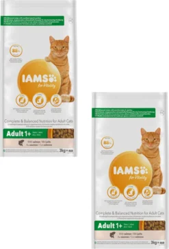 Iams Cat Adult Zalm - Kattenvoer - 2 X 3 Kg -Merkloos Verkoop 817x1200 3