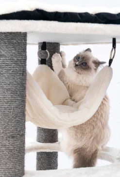 Petrebels Catharina 160 Krabpaal - Creme - 2 Hangmatten - Grote Katten -Merkloos Verkoop 817x1200 4