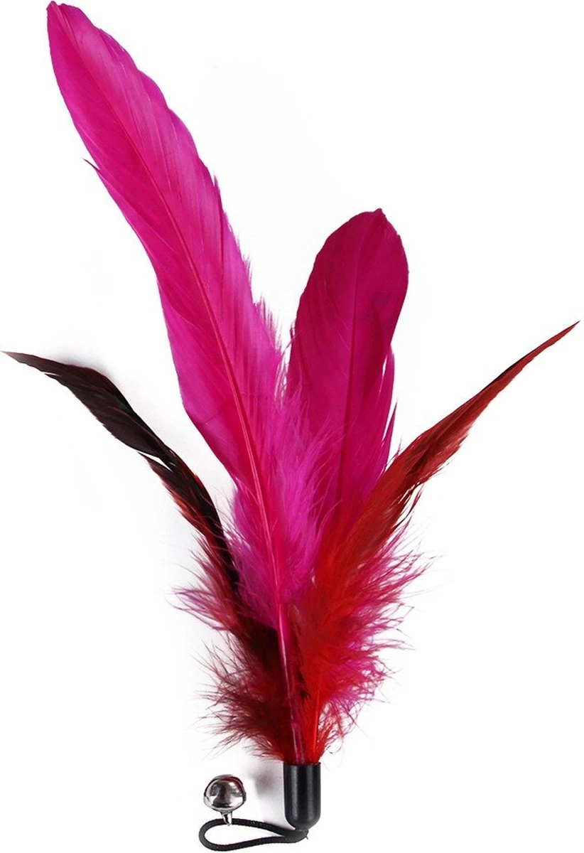 Merkloos Kattenhengel Met 10 Opzetstukjes - Kat Speelhengel Met Veren - Speelgoed Hengel Voor Katten – Kittenspeeltjes Met Veer – Kattenspeelgoed – Katten Speeltjes 2 Merkloos Kattenhengel Met 10 Opzetstukjes - Kat Speelhengel Met Veren - Speelgoed Hengel Voor Katten – Kittenspeeltjes Met Veer – Kattenspeelgoed – Katten Speeltjes - Image 2