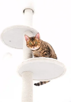 Petrebels Anna 240 Krabpaal - Creme - 240 Tot 265 Cm - Met Plafondspanner -Merkloos Verkoop 832x1200 3