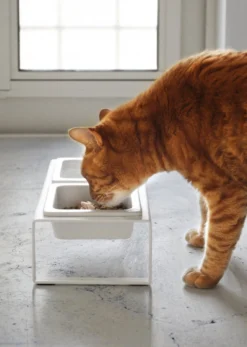 Yamazaki Tower Dierenvoerbakjes - Wit -Merkloos Verkoop 855x1200 5