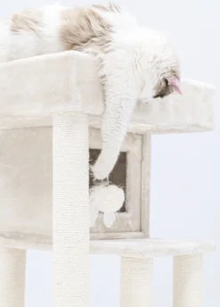 Petrebels Lodge 107 Krabpaal - Creme - Design - Zeer Stabiel -Merkloos Verkoop 861x1200 2