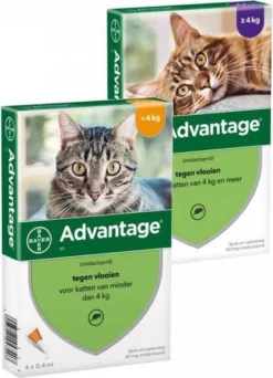 Bayer Anti Vlooienmiddel Advantage 80 > 4 Kg - 4 X 0,8 Ml -Merkloos Verkoop 866x1200 5