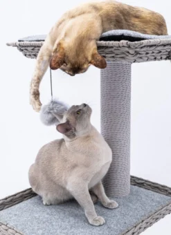 Petrebels Caribbean Love 141 Krabpaal - Grijs - 141 Cm - Natuurlijke Materialen 19 Petrebels Caribbean Love 141 Krabpaal - Grijs - 141 Cm - Natuurlijke Materialen -Merkloos Verkoop 873x1200 2