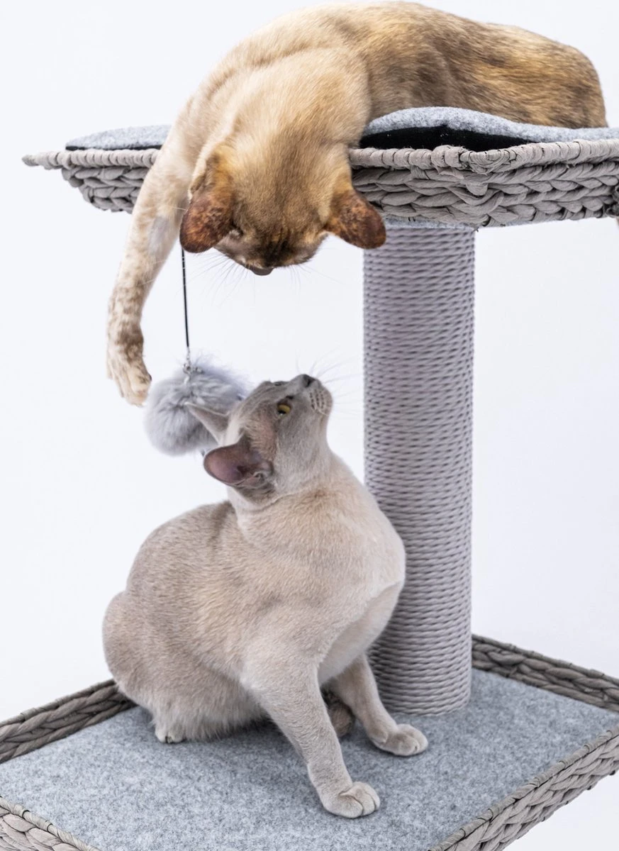 Petrebels Caribbean Love 141 Krabpaal - Grijs - 141 Cm - Natuurlijke Materialen 8 Petrebels Caribbean Love 141 Krabpaal - Grijs - 141 Cm - Natuurlijke Materialen - Image 8