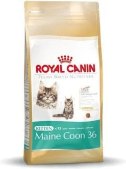 Royal Canin Maine Coon Kitten - Kattenvoer - 4 Kg -Merkloos Verkoop 893x1200 2