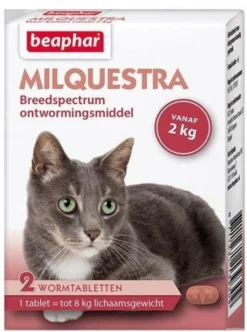 Beaphar Milquestra Kleine Kat/kitten - 0,5 Tot 4 Kg - 2 Tabletten -Merkloos Verkoop 894x1200 8