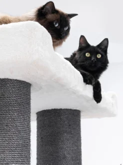 Petrebels Ragdoll 200 Krabpaal Voor Grote Katten - Off White - 20 Cm Stam -Merkloos Verkoop 896x1200 2