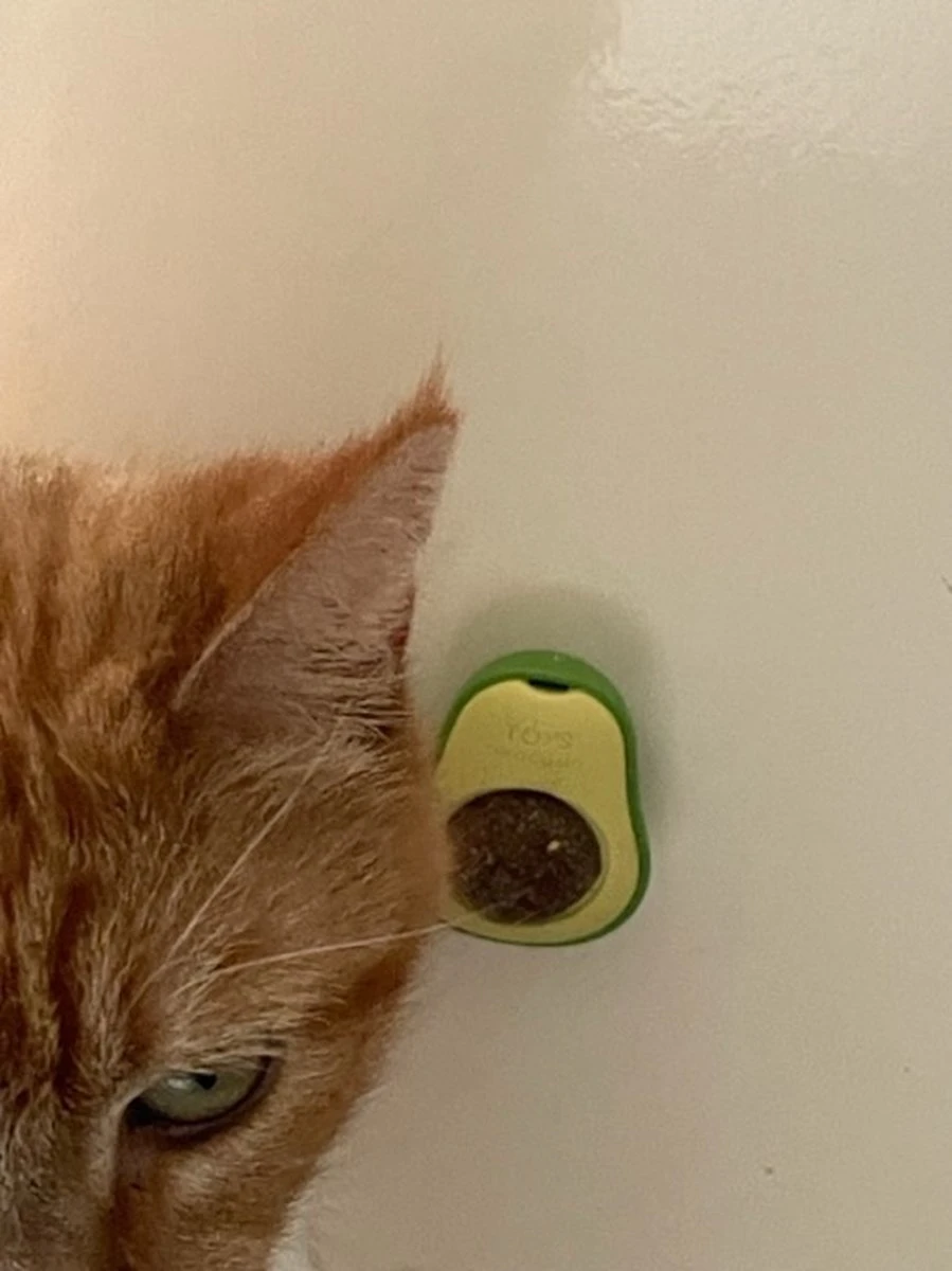PerfectPlant - Kattenbal - Catnipbal - Avocado - Natuurlijk - Katten - Speelgoed - Catnip - Haarbal - Likken - Mint - Bal - Spelen - Slechte Adem 2 PerfectPlant - Kattenbal - Catnipbal - Avocado - Natuurlijk - Katten - Speelgoed - Catnip - Haarbal - Likken - Mint - Bal - Spelen - Slechte Adem - Afbeelding 2