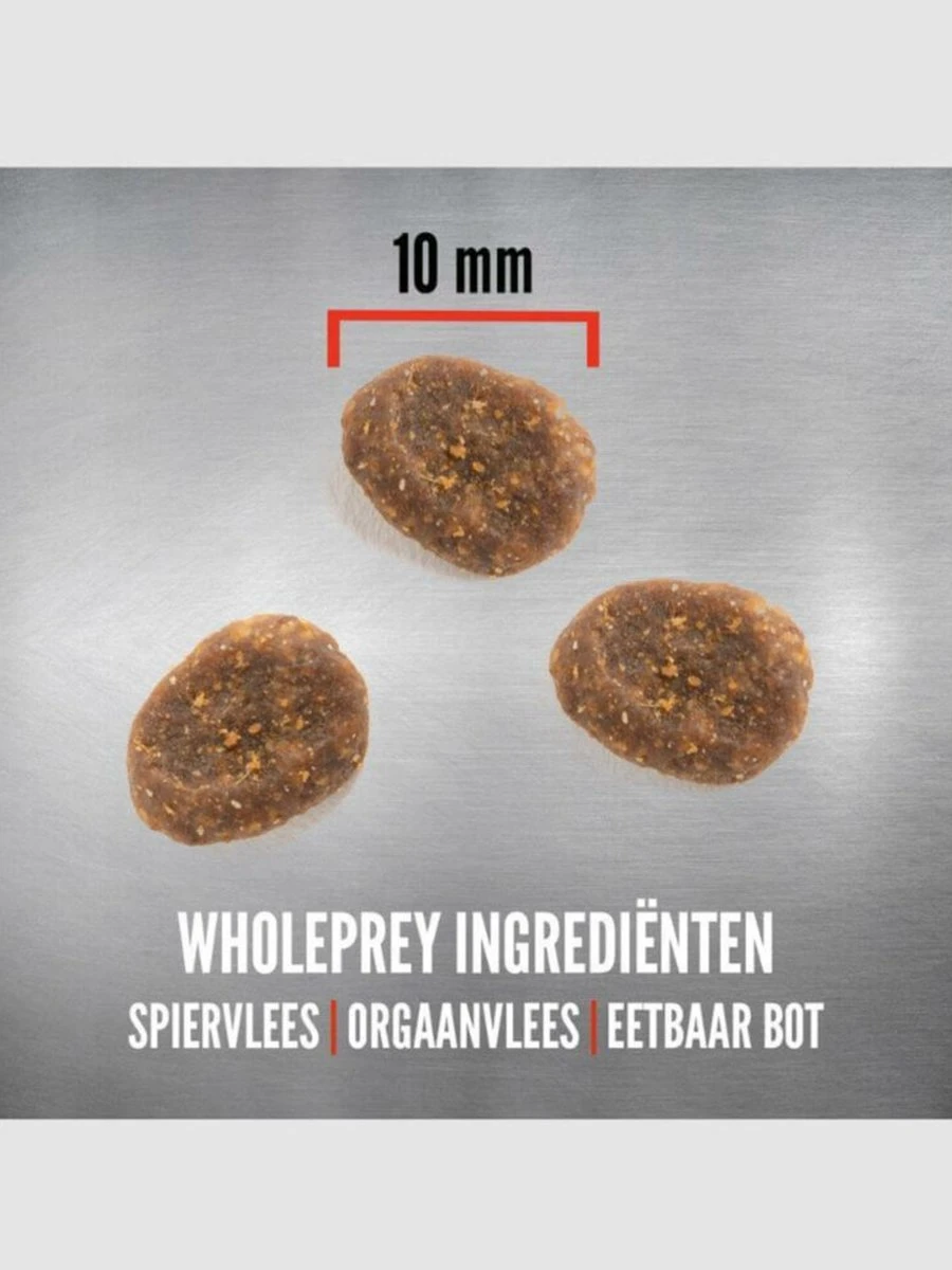 Orijen Kattenvoer Whole Prey Six Fish 5,4 Kg 4 Orijen Kattenvoer Whole Prey Six Fish 5,4 Kg - Image 4
