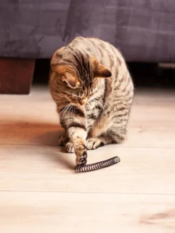 Kattenveertjes Klein - 10 Stuks | Zwart Wit | Kattenspeeltjes | Kattenspeelgoed