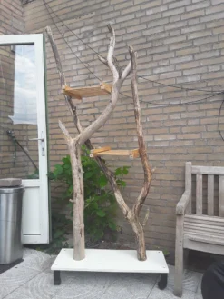 Natuurlijke Klimboom, Krabpaal 13 Natuurlijke Klimboom, Krabpaal -Merkloos Verkoop 900x1200 35