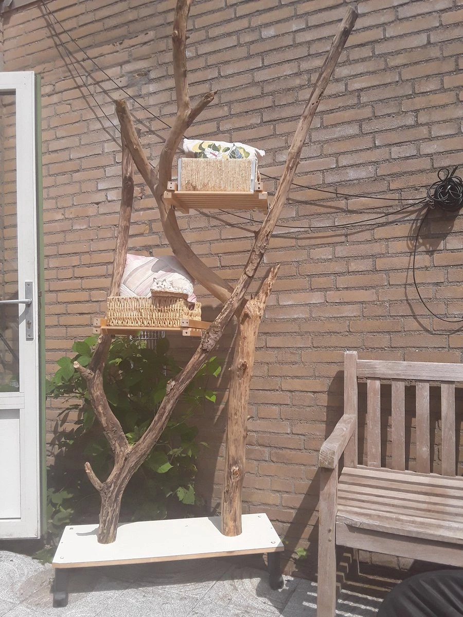 Natuurlijke Klimboom, Krabpaal 6 Natuurlijke Klimboom, Krabpaal - Image 6