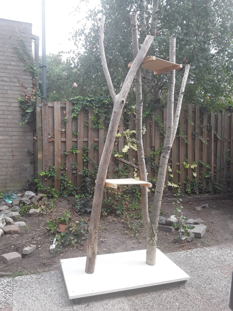 Natuurlijke Klimboom, Krabpaal 7 Natuurlijke Klimboom, Krabpaal - Image 7