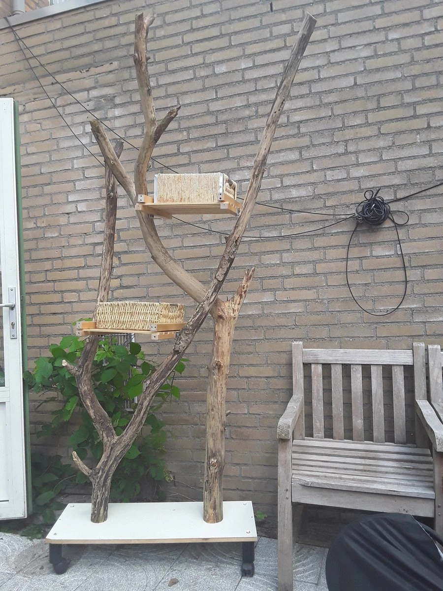 Natuurlijke Klimboom, Krabpaal 8 Natuurlijke Klimboom, Krabpaal - Image 8