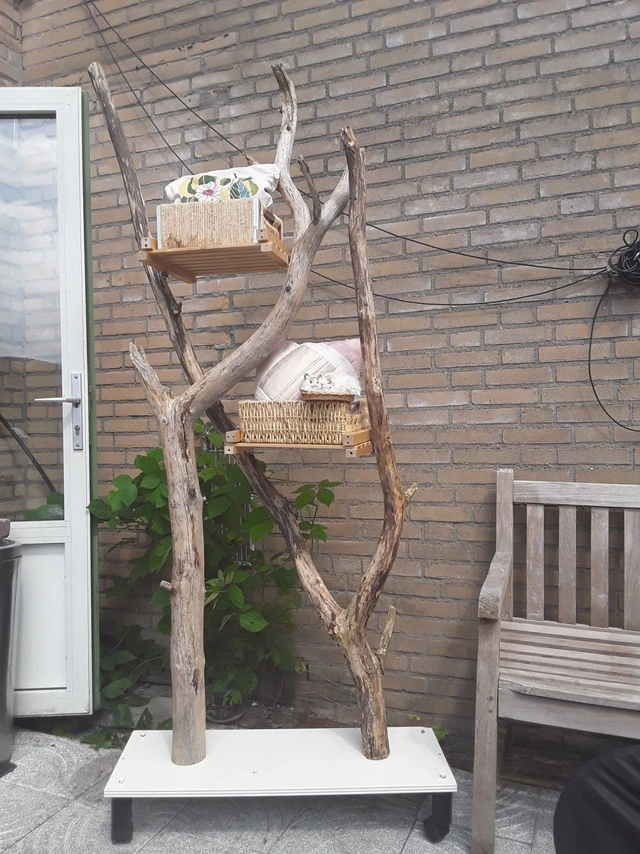 Natuurlijke Klimboom, Krabpaal 9 Natuurlijke Klimboom, Krabpaal - Image 9