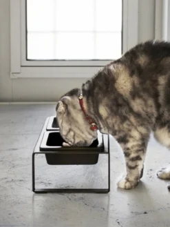 Yamazaki Eetbak - Voederbak Kat - Tweeledig - Zwart -Merkloos Verkoop 901x1200 3