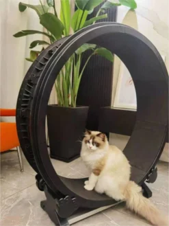 Merkloos Petlux - Looprad / Loopwiel Voor Kat - Kattenspeelgoed - 9 Merkloos Petlux - Looprad / Loopwiel Voor Kat - Kattenspeelgoed - -Merkloos Verkoop 901x1200 4