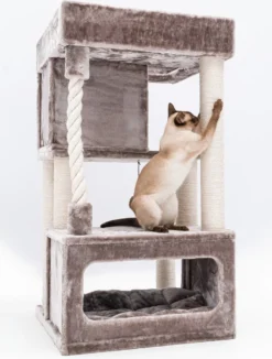 Petrebels Lodge 107 Krabpaal - Cappuccino - Design - Zeer Stabiel 14 Petrebels Lodge 107 Krabpaal - Cappuccino - Design - Zeer Stabiel -Merkloos Verkoop 908x1200 3