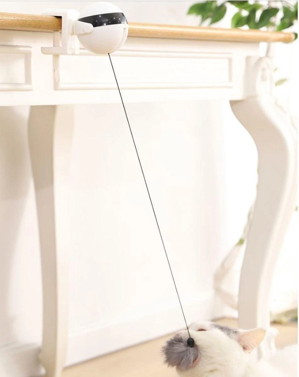 Merkloos Kattenspeelgoed - Katten Speelgoed - Katten Speeltje - Katten Bal - Katten - Kattenhengel - Kitten Speelgoed - Kattenspeeltjes - Elektrische - Muis - Automatische Hengel - Bal - Poes - Katten - Prooi - Kat - Poesjes - Interactief Kattenspeelgoed 5 Merkloos Kattenspeelgoed - Katten Speelgoed - Katten Speeltje - Katten Bal - Katten - Kattenhengel - Kitten Speelgoed - Kattenspeeltjes - Elektrische - Muis - Automatische Hengel - Bal - Poes - Katten - Prooi - Kat - Poesjes - Interactief Kattenspeelgoed - Image 5