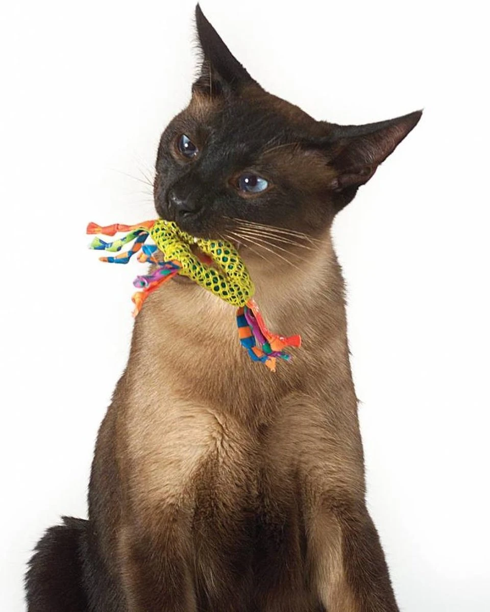 Petstages Dental Health Chew Kattenspeelgoed - Catnip 3 Petstages Dental Health Chew Kattenspeelgoed - Catnip - Image 3