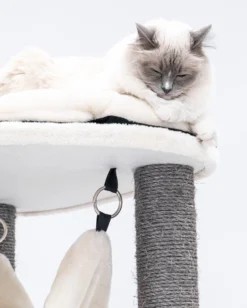 Petrebels Catharina 160 Krabpaal - Creme - 2 Hangmatten - Grote Katten -Merkloos Verkoop 961x1200 3