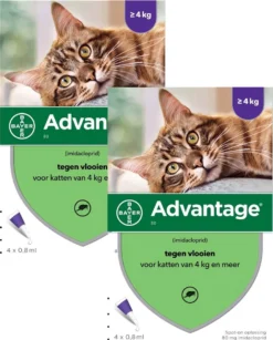 Bayer Advantage 80 Kat 4 Pip - Anti Vlooienmiddel - 2 X 0.8 Ml - > 4 Kg -Merkloos Verkoop 965x1200 1