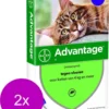Bayer Advantage 80 Kat 4 Pip - Anti Vlooienmiddel - 2 X 0.8 Ml - > 4 Kg
