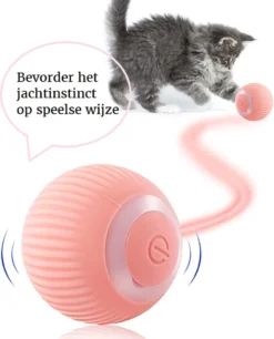 Otiume Slimme Katten Speeltje - Interactieve Zelf Rollende Bal Voor Katten - Kattenspeeltjes - USB Oplaadbaar- Turquoise -Merkloos Verkoop 968x1200