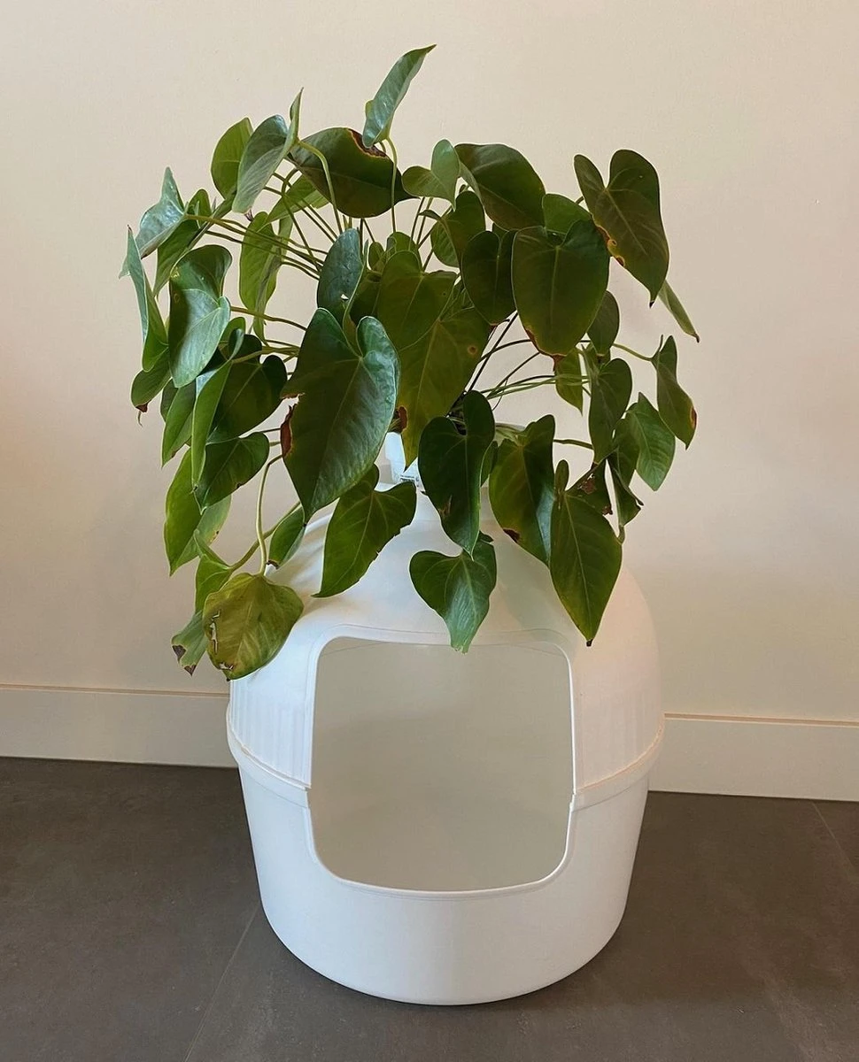 XXL Kattenbak – Verborgen Kattentoilet – Flower XXL Wit Voor Grote Katten Van RHRQuality 7 XXL Kattenbak – Verborgen Kattentoilet – Flower XXL Wit Voor Grote Katten Van RHRQuality - Afbeelding 7