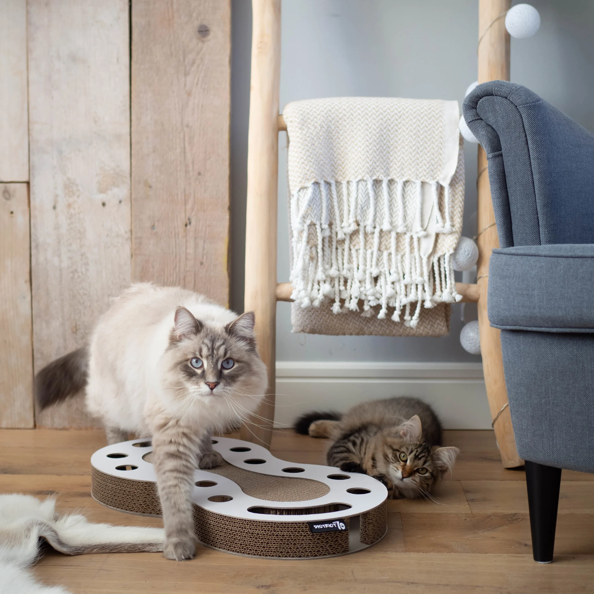 Voorkant -Merkloos Verkoop image